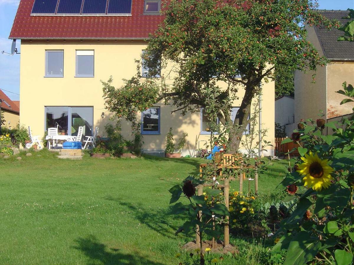 Fewo Dd- Wilschdorf เดรสเดน ภายนอก รูปภาพ